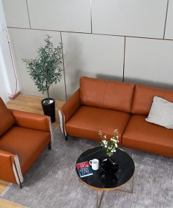 sofa-tphcm-1