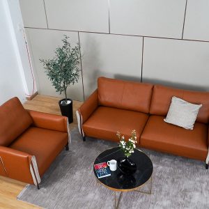 sofa-tphcm-1