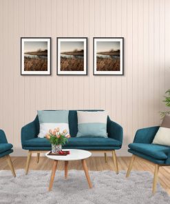 bo-ban-ghe-sofa-phong-khach-1