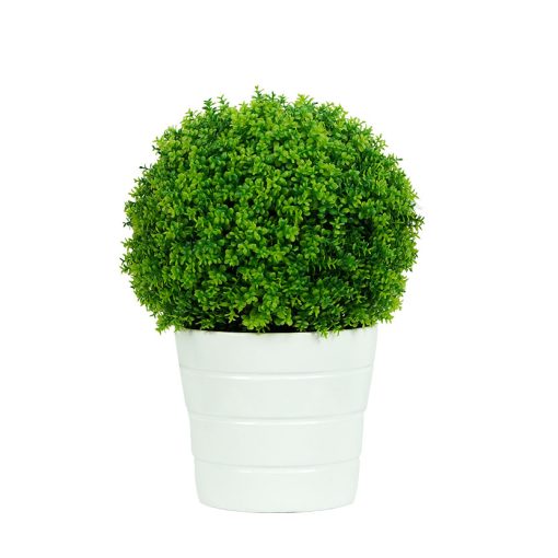 Chậu Qủa Cầu Size Nhí